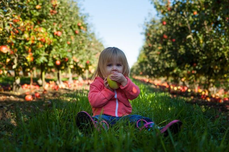 I bambini con diagnosi di diabete possono mangiare frutta non zuccherata